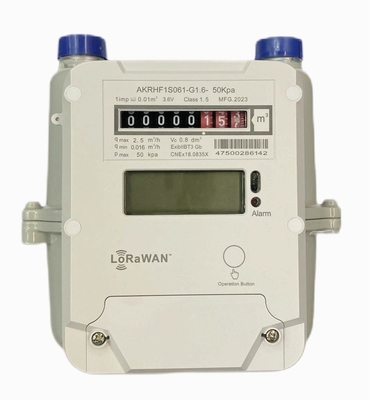 STS AMR Ödeme öncesi LORAWAN Gaz Meter